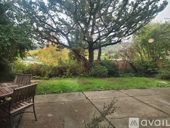 A bench sits on a sidewalk in front of a tree.