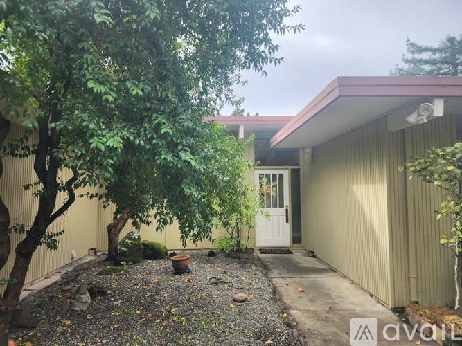 A tree in a yard with a house in the background.