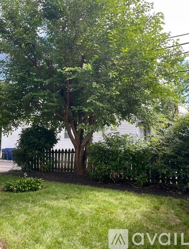 A tree in a yard with a house in the background.