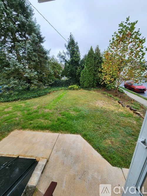 A backyard with a green lawn and trees.