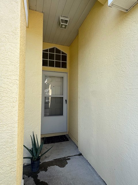 A white door is in a hallway with a plant in a pot.