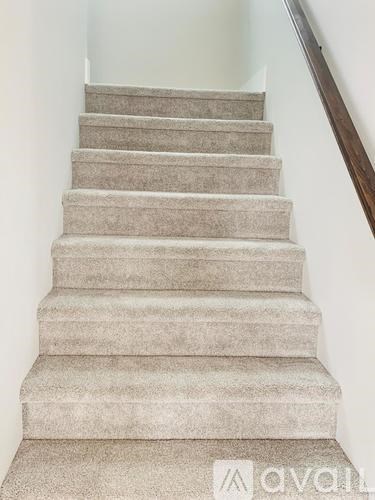 A beige carpeted staircase with a wooden handrail.
