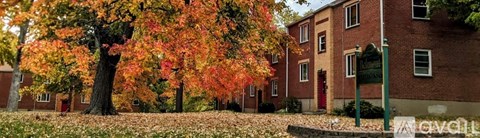 A tree with orange leaves in front of a brick building.