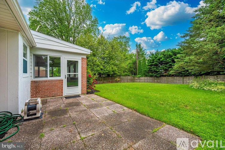 A backyard with a patio, a small house, and a green hose.