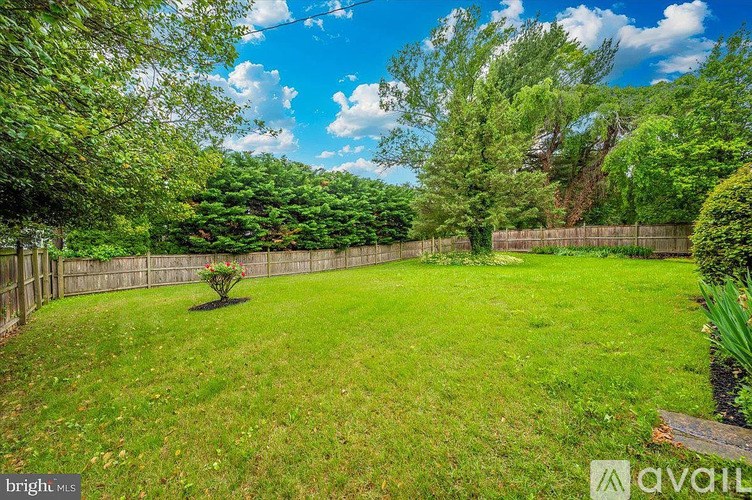 A backyard with a fence and a small tree in the middle.