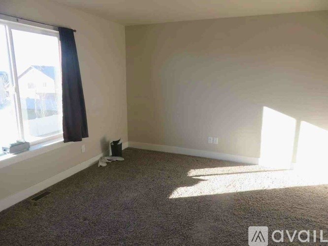 A room with a carpeted floor, a window with a curtain, and a wall with a switch.