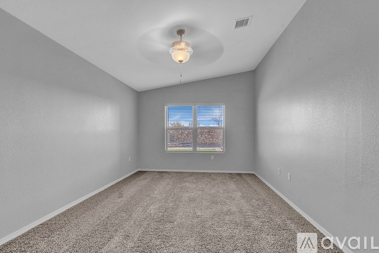 A room with a carpeted floor, a ceiling fan, and a window with a view of trees.