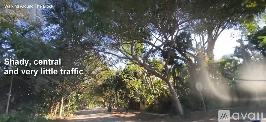 A shady path with trees on both sides and a sign that says "available".