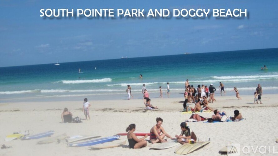 A beach scene with people and surfboards at South Pointe Park and Doggy Beach.