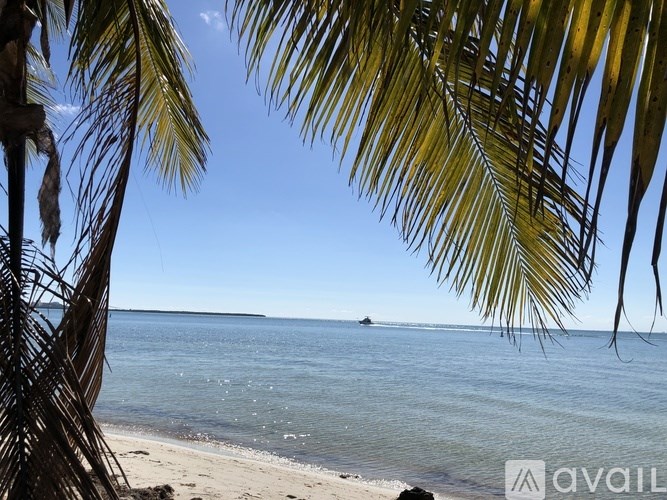 A beach scene with a boat in the distance and palm trees in the foreground.