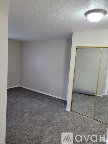 A room with a grey carpet and a mirror with a gold frame.