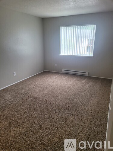 A carpeted room with a window and a wall-mounted heater.