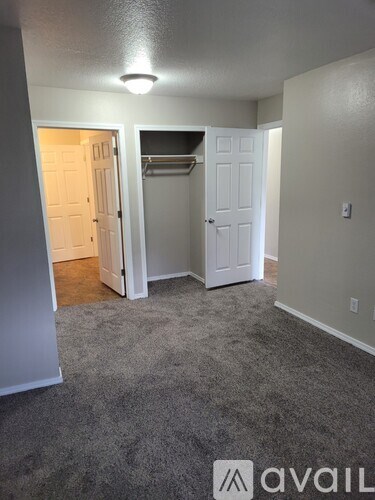 A room with a grey carpet and two white doors.