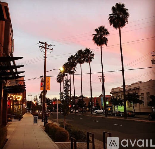 A street view with palm trees and a sunset.