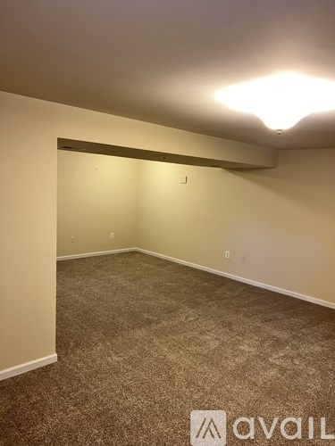 A room with carpeted floor and a light on the ceiling.