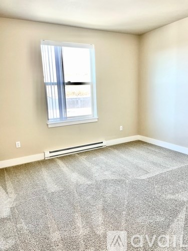 A room with a window and a carpet on the floor.