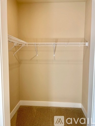 Empty white closet with a carpeted floor.