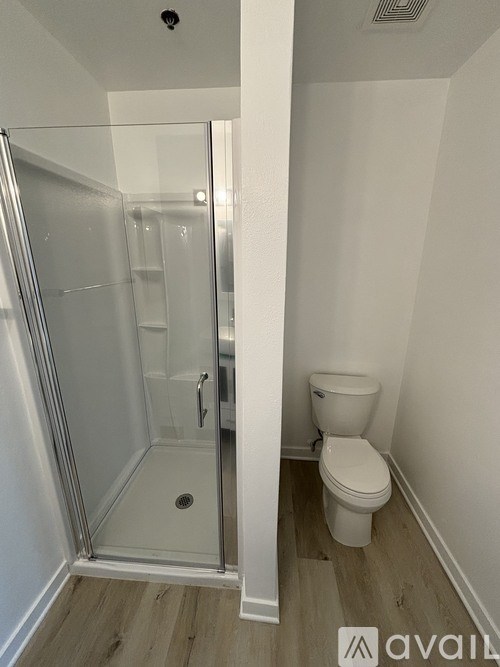 A bathroom with a toilet and a walk-in shower.