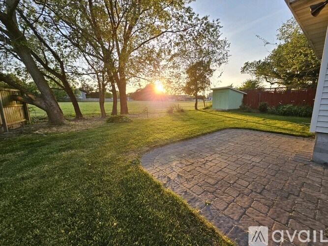 A backyard with a brick pathway leading to a shed.