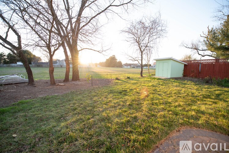 A backyard with a shed and trees.