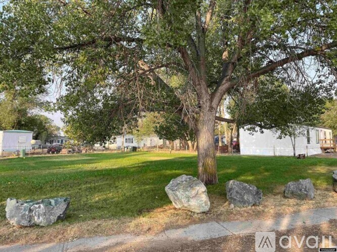 A tree in a grassy area with rocks underneath it.