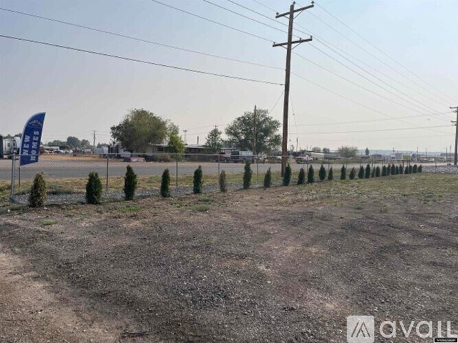 A field with rows of young trees and power lines in the background.