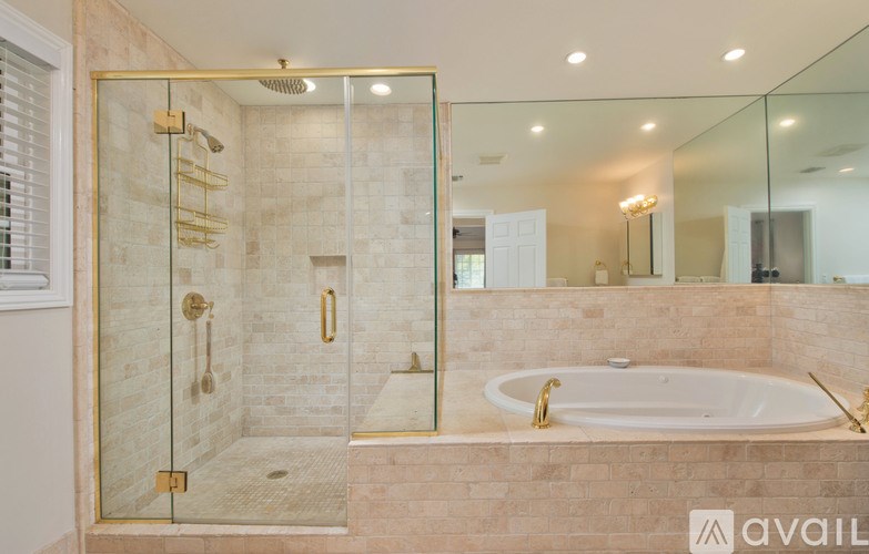 A bathroom with a walk-in shower and a bathtub.