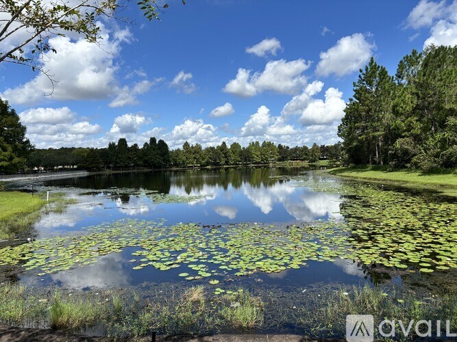 A serene lake with lily pads and a partly cloudy sky.