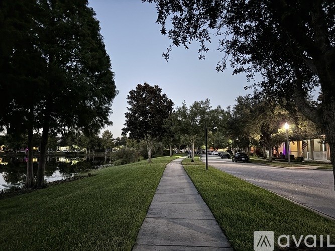 A tree-lined street with a sidewalk and a body of water.