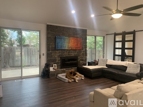 A dog is sitting on a rug in a living room with a fireplace and a painting above it.