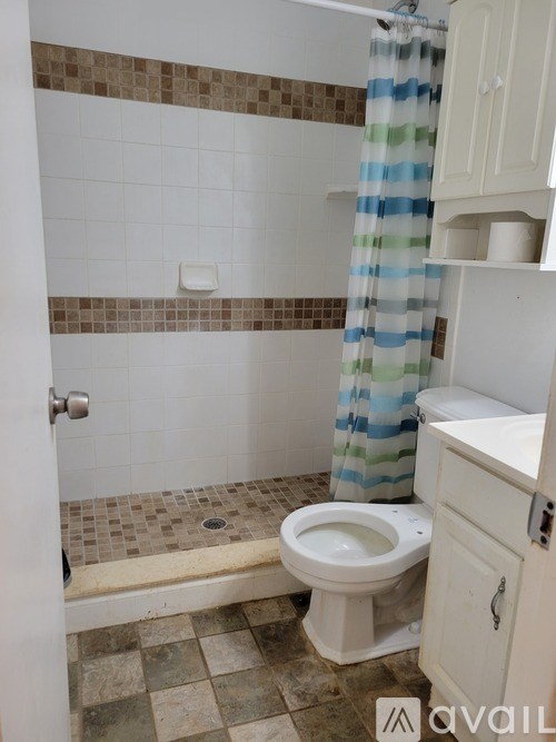 A bathroom with a toilet, shower, and a cabinet.