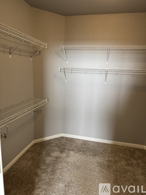Empty room with shelving and carpeted floor.