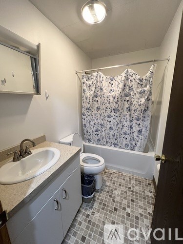 A bathroom with a toilet, sink, and shower curtain.