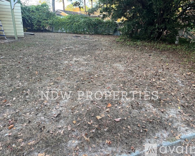 A backyard with a lot of leaves on the ground and a shed in the background.