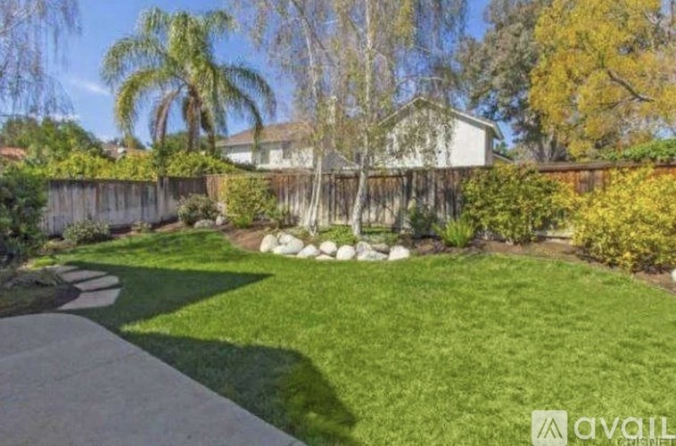 A backyard with a lawn, trees, and a house in the background.