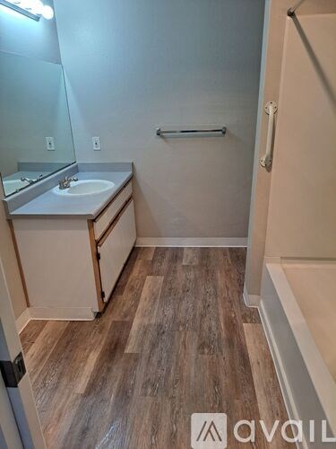 A bathroom with a sink, mirror, and wooden floor.