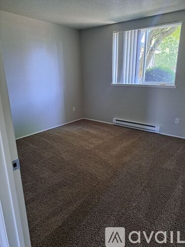 A room with a carpeted floor and a window with blinds.