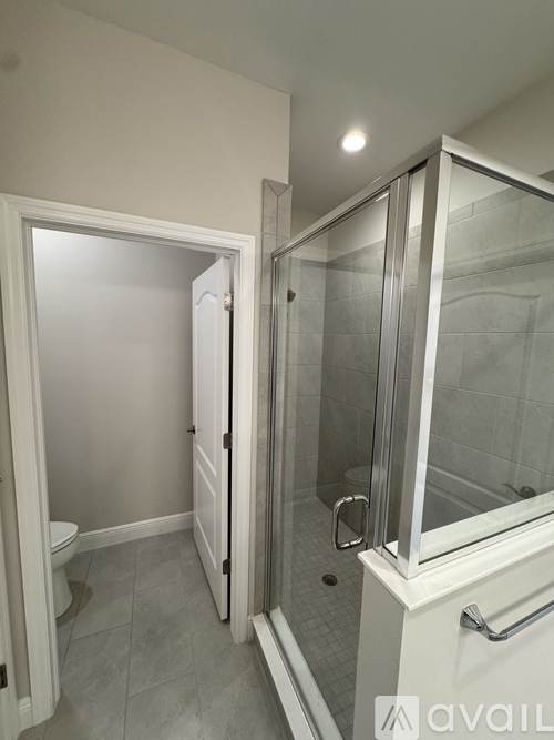 A bathroom with a walk-in shower and a toilet.