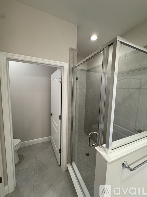 A bathroom with a walk-in shower and a toilet.