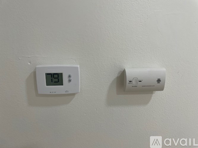 A wall-mounted thermostat and a smoke detector are installed on a white wall.