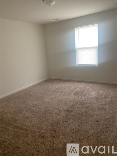 A carpeted room with a window and a white ceiling.