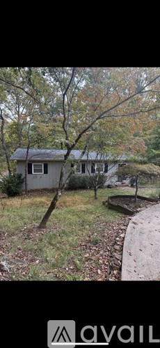 A house surrounded by trees and a sidewalk.