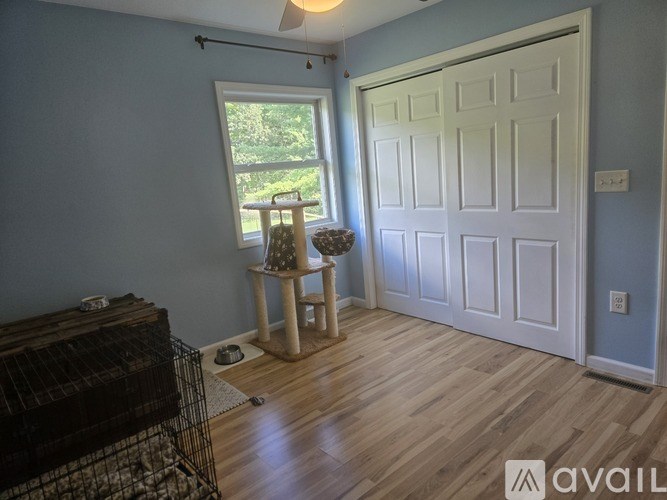 A room with a white door and a table with a cat tree.