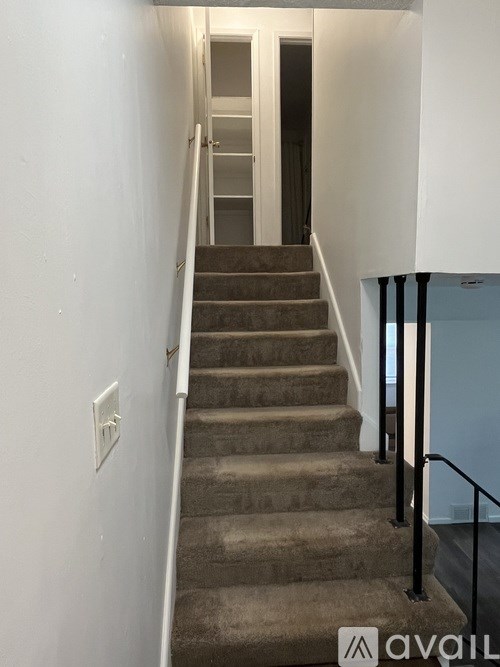 A staircase with a carpeted runner and black handrails.