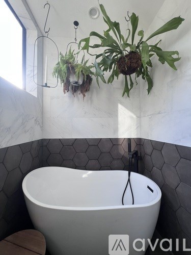 A white bath tub with a grey tiled wall and a hanging plant.