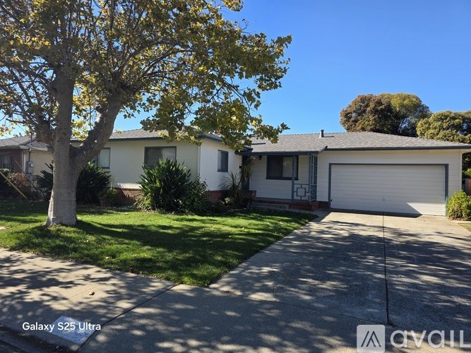 A house with a tree in front of it.
