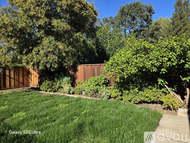 A backyard with a lawn and a fence.
