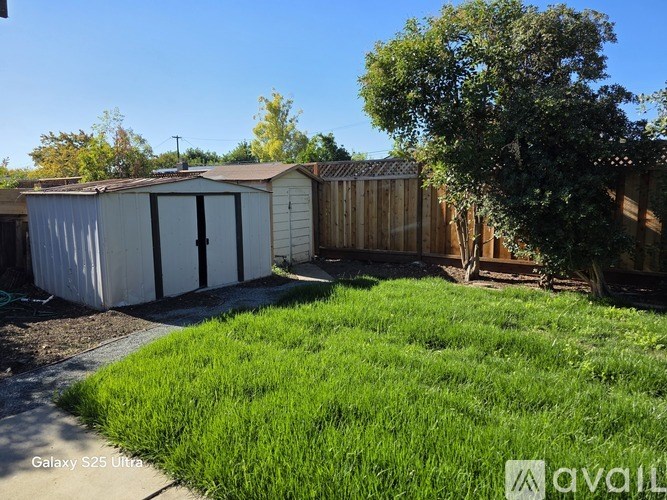 A backyard with a shed and a fence.