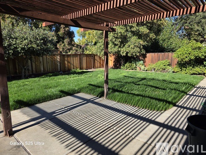 A backyard with a wooden fence and a green lawn.