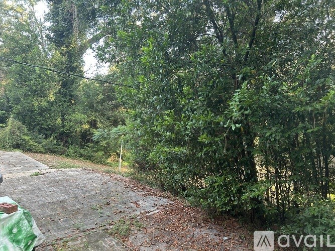A pathway covered in leaves leads through a wooded area.